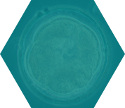 第三代试管婴儿流程-取卵取精