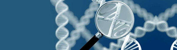 试管婴儿_柬埔寨试管婴儿_第三代试管婴儿技术_【诺芽国际|诺芽国际医院】- 柬埔寨诺芽国际医院