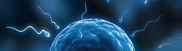 试管婴儿_柬埔寨试管婴儿_第三代试管婴儿技术_【诺芽国际|诺芽国际医院】- 柬埔寨诺芽国际医院