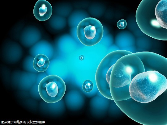 柬埔寨三代试管在私立机构做怎么样