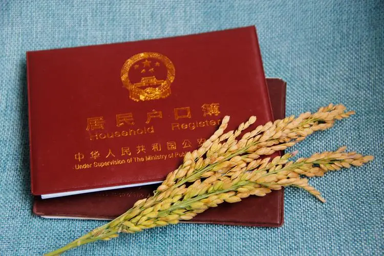 单身女性在柬埔寨做试管回国办户口流程