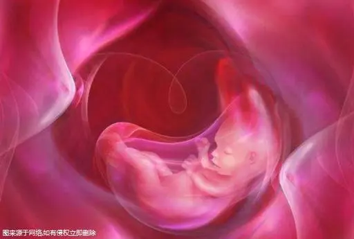公布柬埔寨私立三代试管收费标准