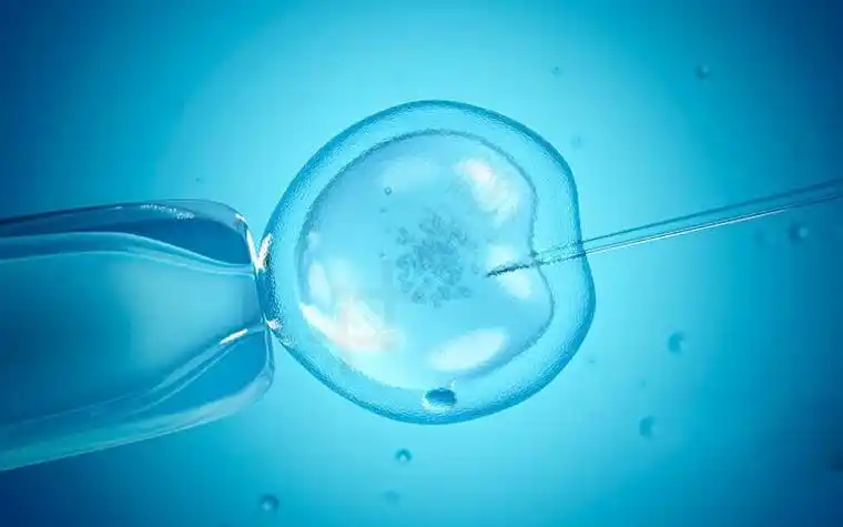 柬埔寨做试管婴儿能不能选性别？附相关费用明细介绍