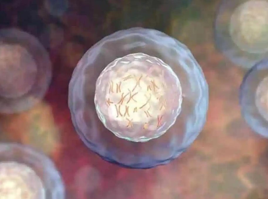 2024柬埔寨试管最好的医院是哪家（三代单周期费用看这里）