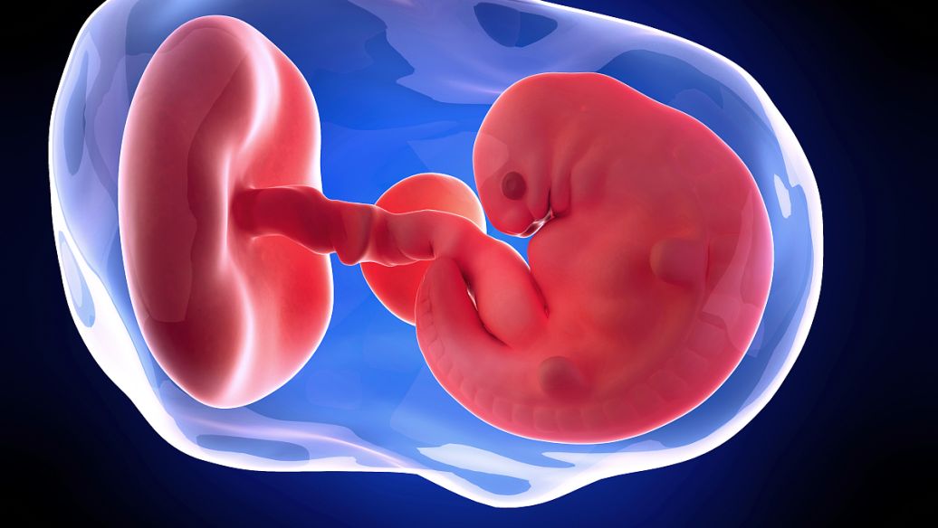 柬埔寨试管合法助孕机构排行榜出炉,还是2025年中新鲜的!